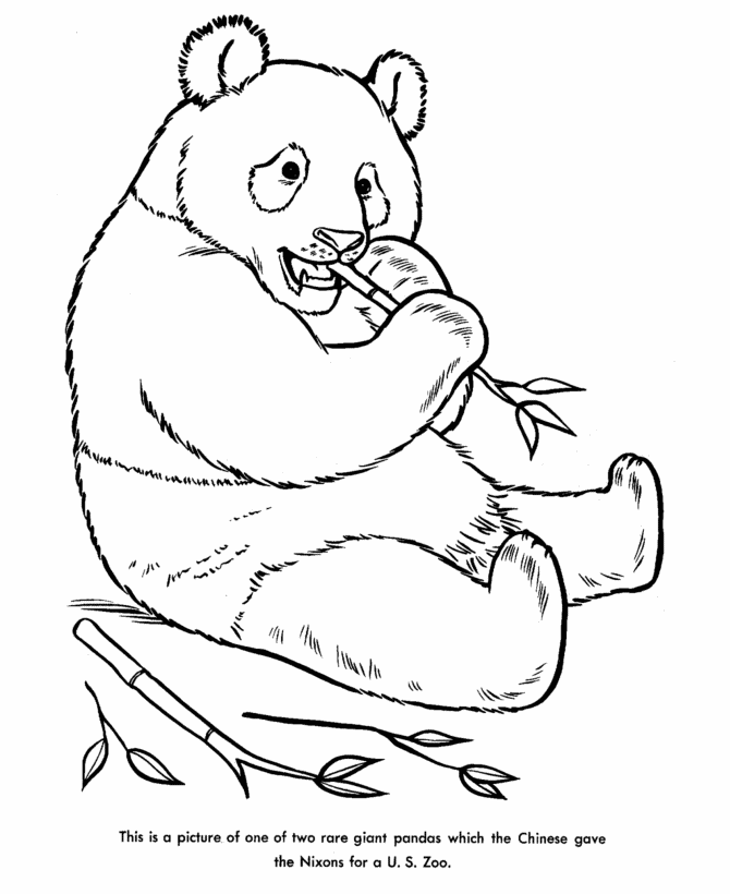 Plansa de colorat cu Panda 4 27